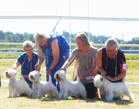 �rets Uppf�dare Kennel Jazzing, Reidun Aldrin, Almunge