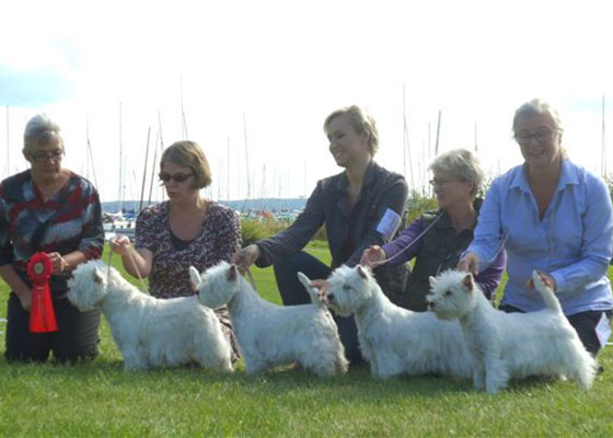 Kennel Jazzing, BIS-Uppf�dargrupp